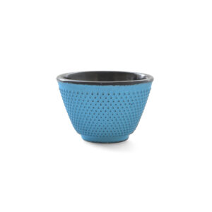 cast iron tea cup - turq