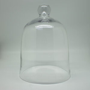 Cake Dome - 22x30cm