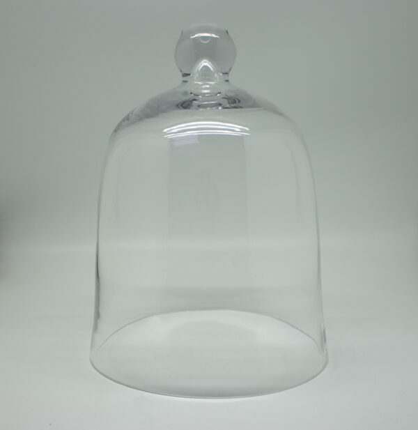 Cake Dome - 22x30cm