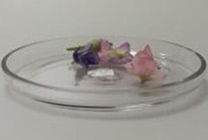 Stand - 20x19x2cm