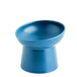 Elevated Ceramic Bowl - Blue