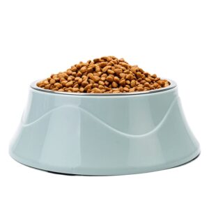 Double Layer Pet Bowl - Blue