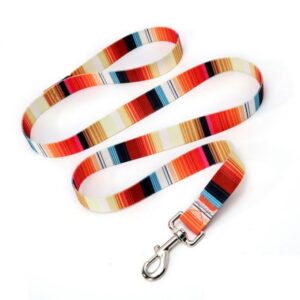 Pet Leash - Autumn Pattern
