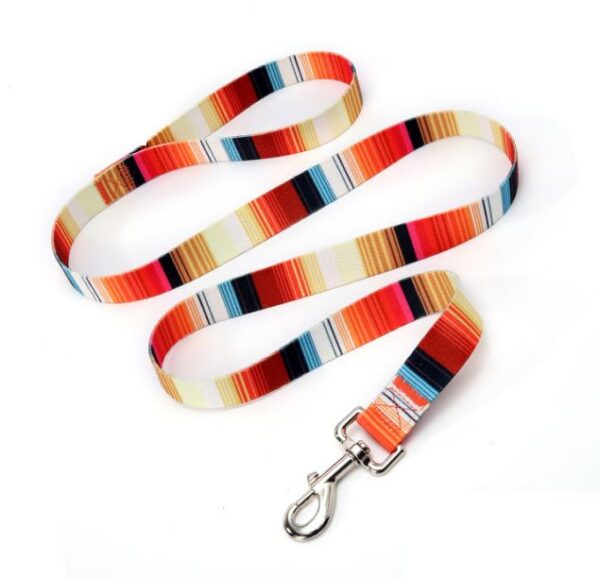 Pet Leash - Autumn Pattern