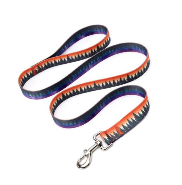 Pet Leash - Orange Tree