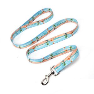 Pet Leash - Beach Pattern