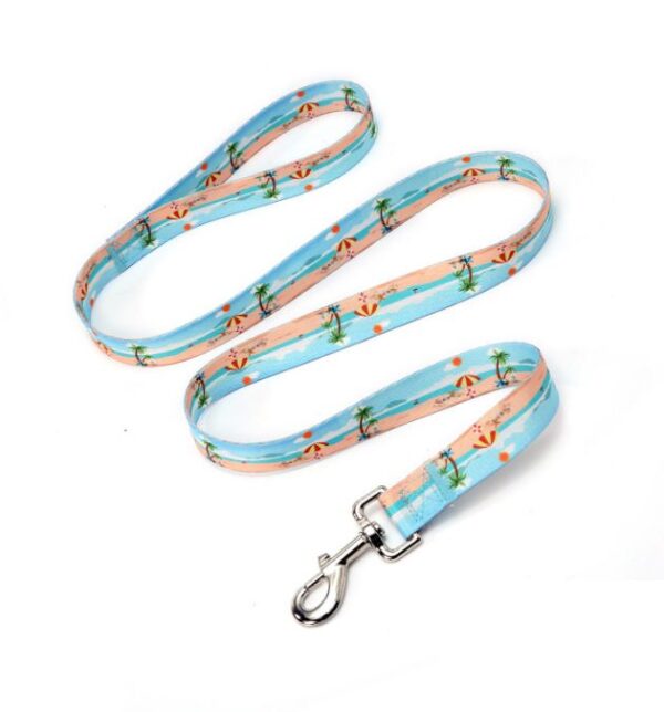 Pet Leash - Beach Pattern