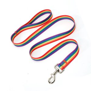 Pet Leash - Rainbow Pattern