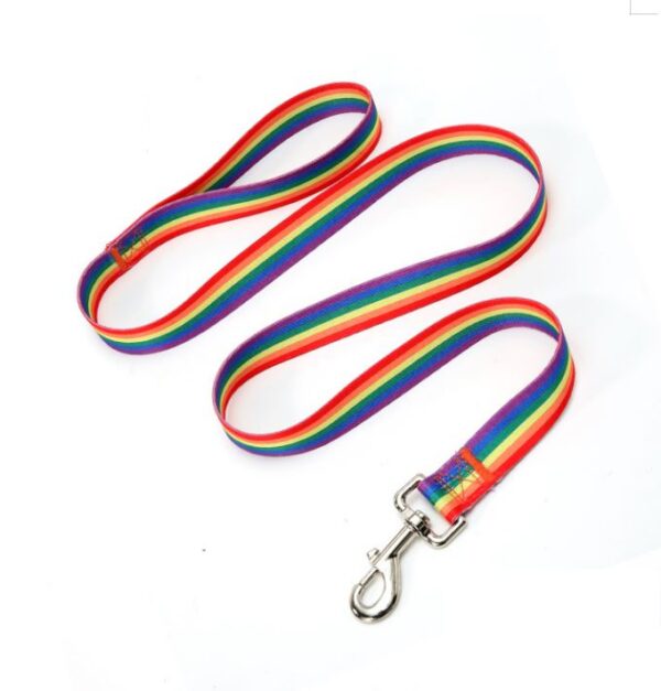 Pet Leash - Rainbow Pattern