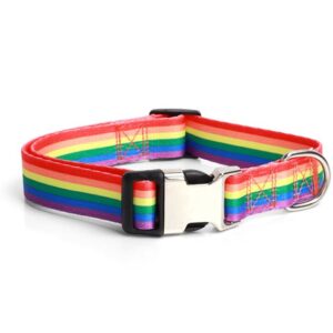 Pet Collar - Extra Large, Bright Rainbow Pattern