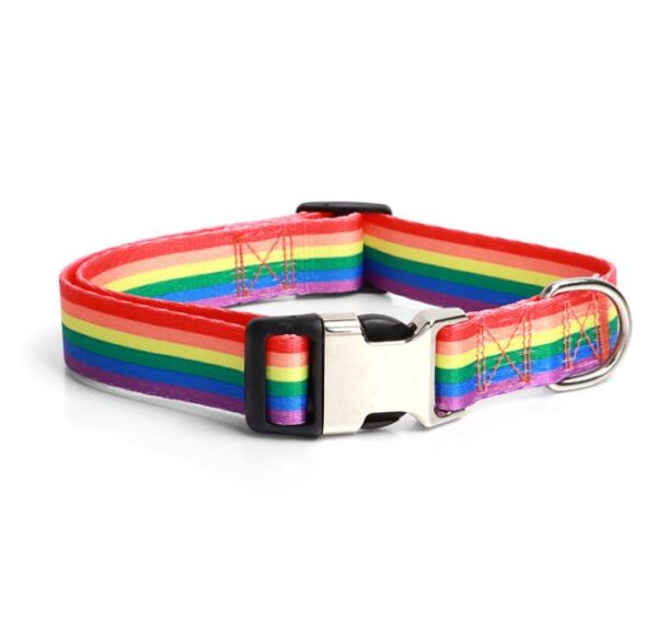 Pet Collar - Extra Large, Bright Rainbow Pattern