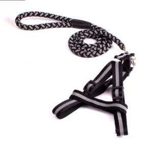 Reflective Harness & Leash - Small, Black