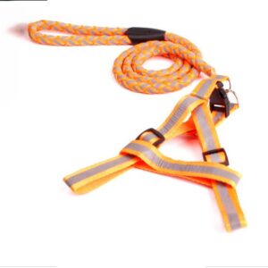Reflective Harness & Leash - Small, Orange