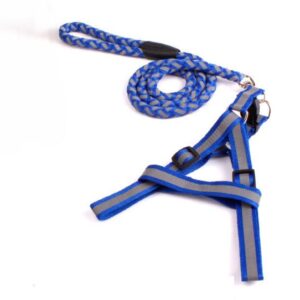 Reflective Harness & Leash - Medium, Blue