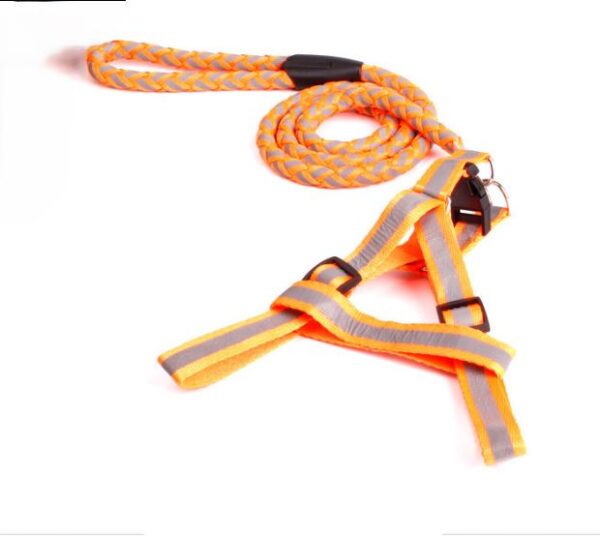 Reflective Harness & Leash - Medium, Orange