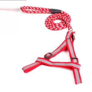 Reflective Harness & Leash - Large, Red
